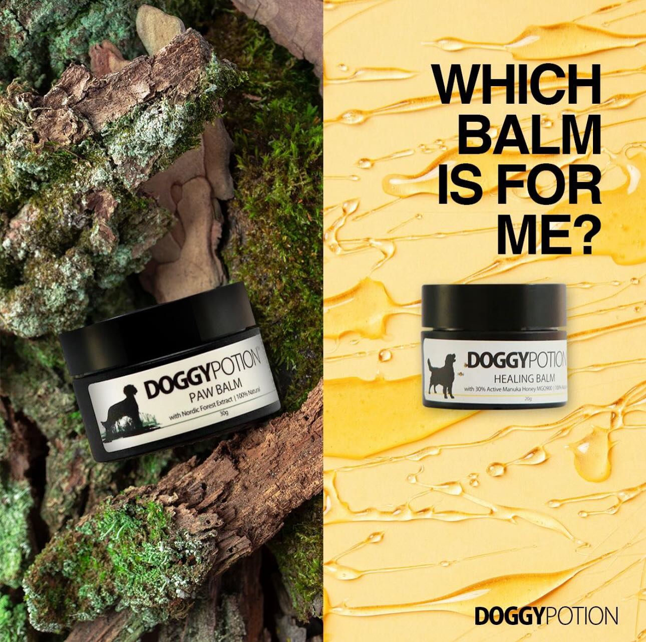 Paw Balm with Nordic Forest Extract 30g