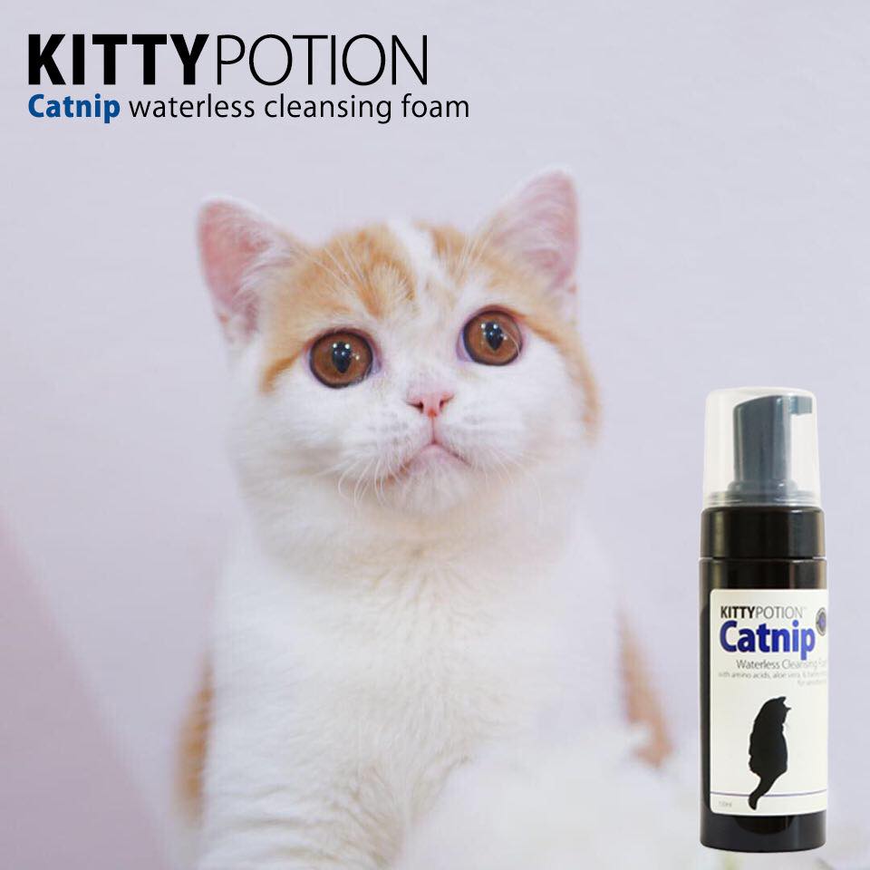 CATNIP Waterless Cleansing Foam with Amino Acids 150ml
