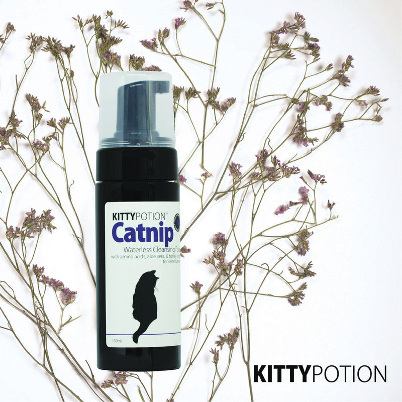 CATNIP Waterless Cleansing Foam with Amino Acids 150ml