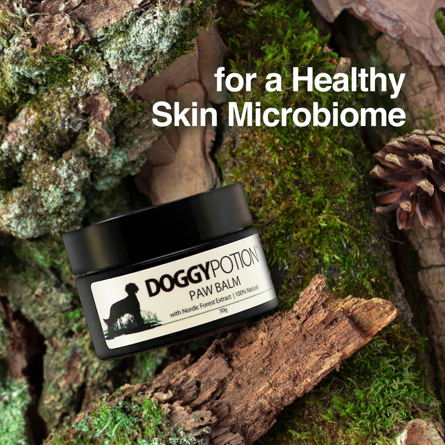 Paw Balm with Nordic Forest Extract 30g