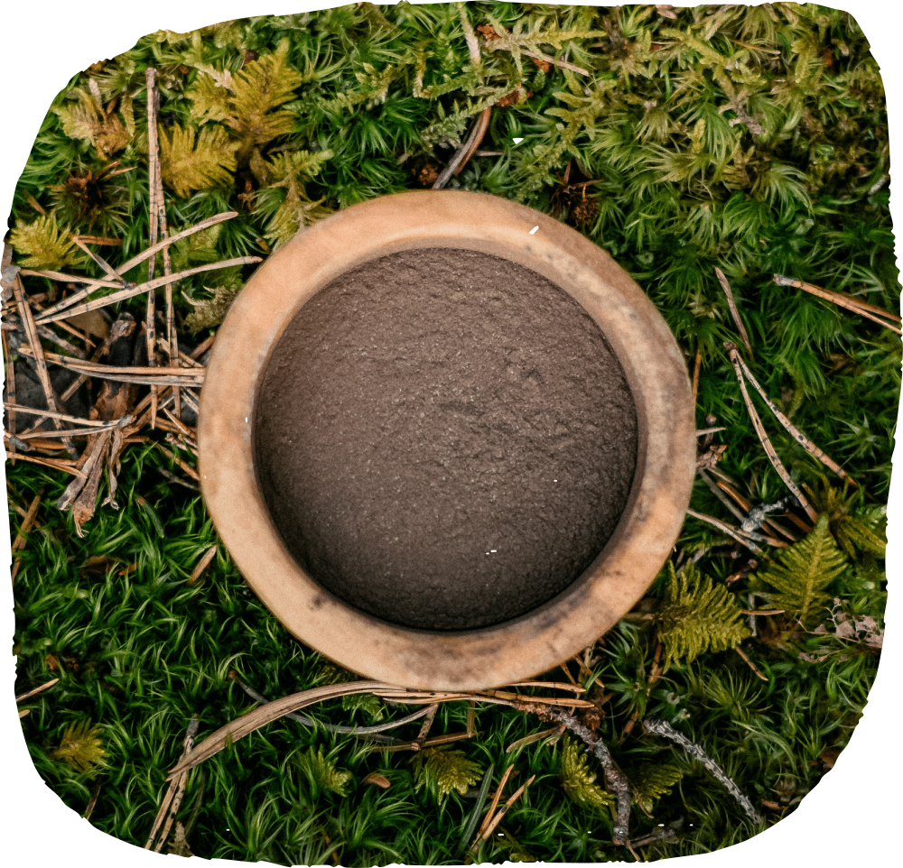 Paw Balm with Nordic Forest Extract 30g