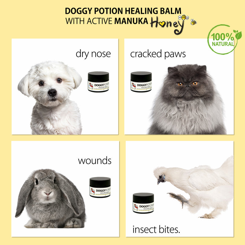 Pet Healing Balm with Manuka Honey 20g