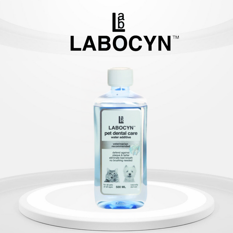 LABOCYN Pet Dental Care Water Additive 500ml
