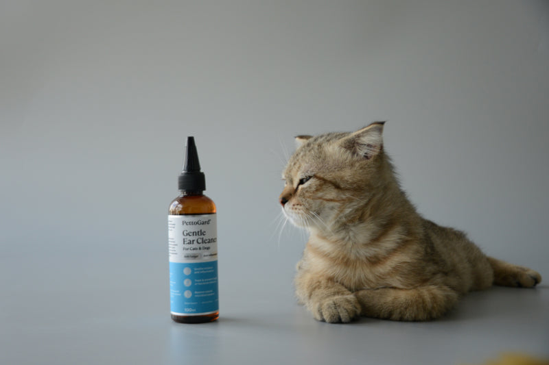 PettoGard Gentle Ear Cleaner (Anti-Fungal & Anti-Inflammatory) 100ml