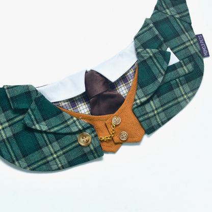 MOMOJI Phillip | Pet Neckwear