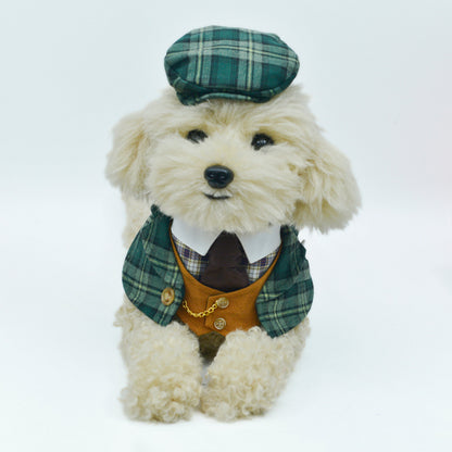 MOMOJI Phillip | Pet Neckwear