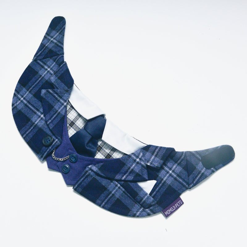 MOMOJI Phillip | Pet Neckwear