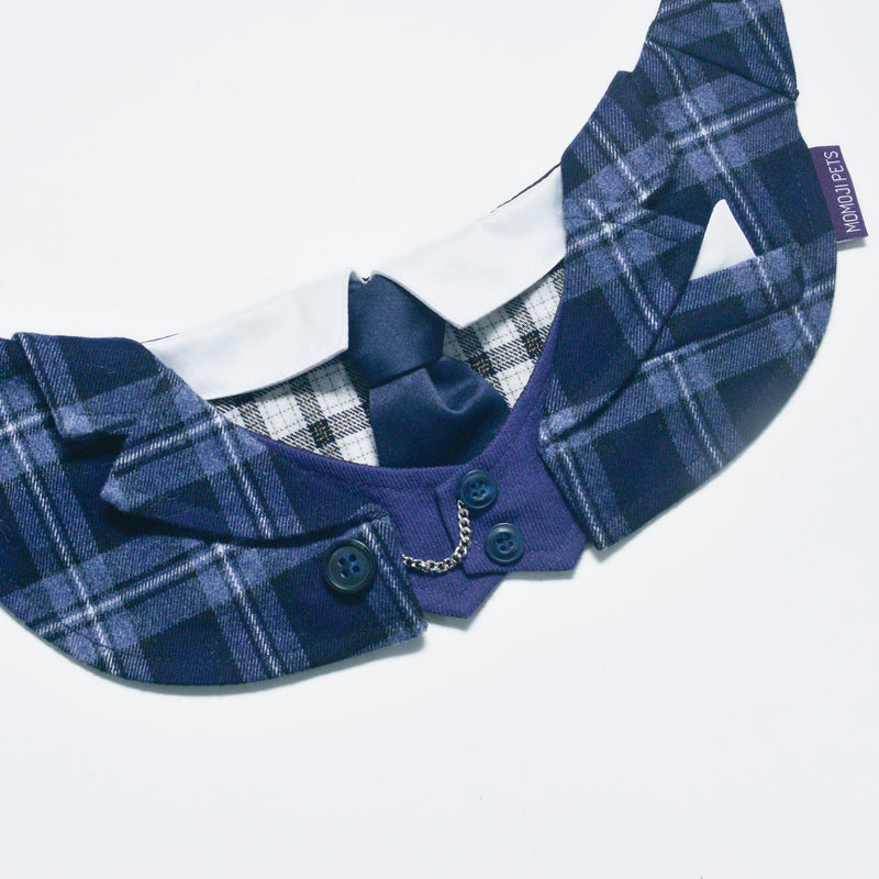 MOMOJI Phillip | Pet Neckwear
