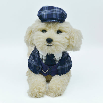 MOMOJI Phillip | Pet Neckwear