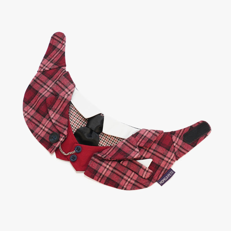 MOMOJI Phillip | Pet Neckwear
