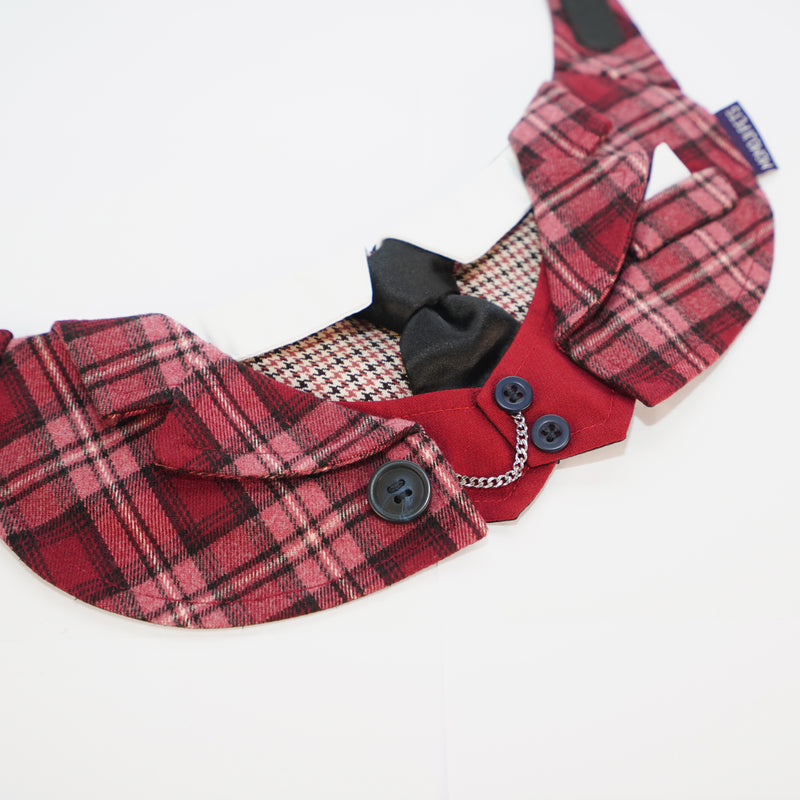 MOMOJI Phillip | Pet Neckwear