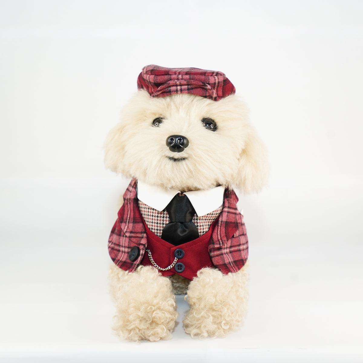 MOMOJI Phillip | Pet Neckwear