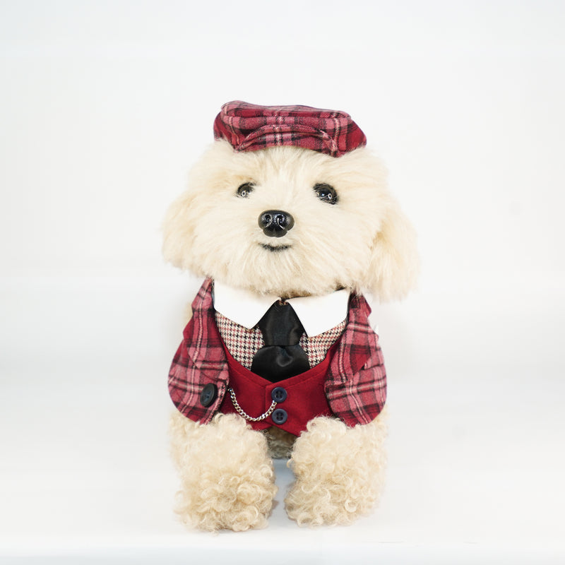 MOMOJI Phillip | Pet Neckwear