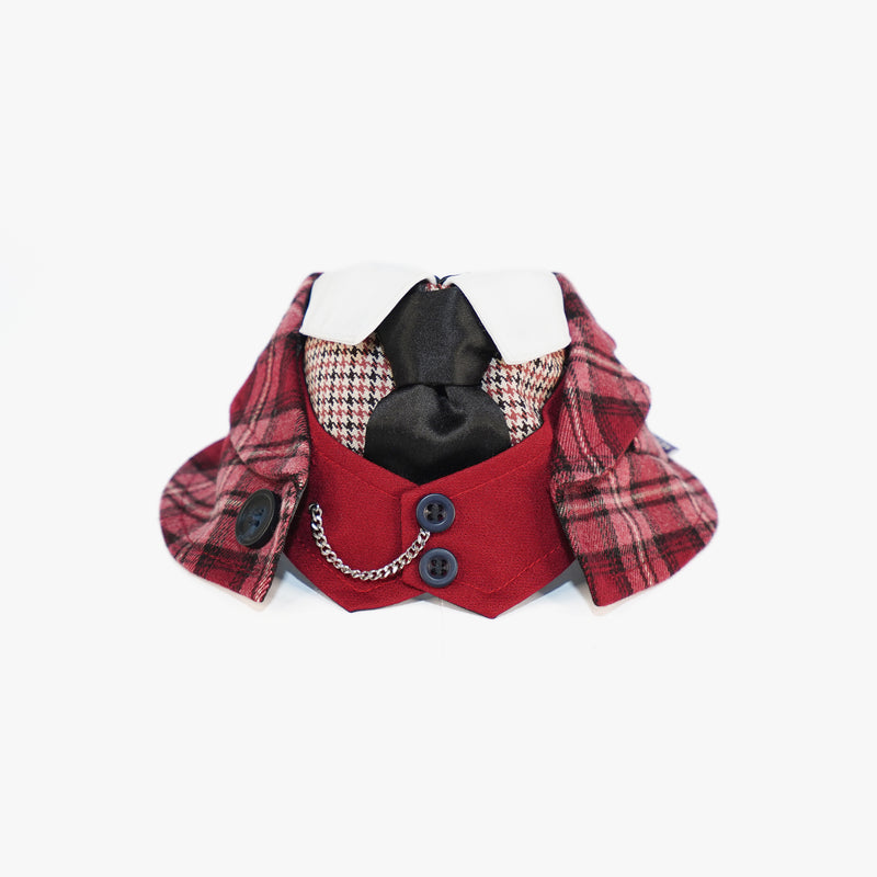 MOMOJI Phillip | Pet Neckwear