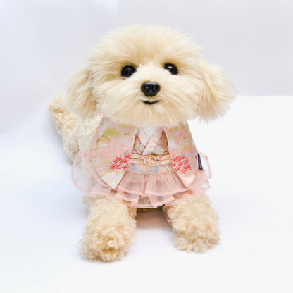 MOMOJI Flourish | Pet Neckwear