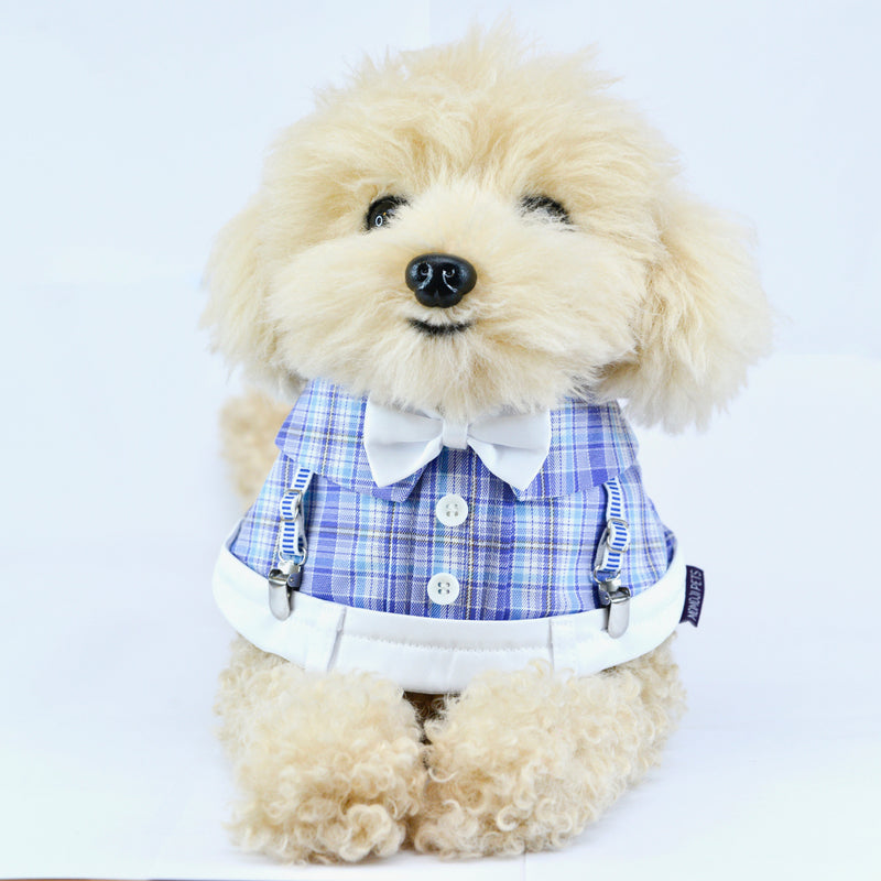 MOMOJI Mallory Boys | Pet Neckwear