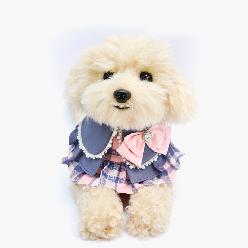 MOMOJI Madeleine | Pet Neckwear