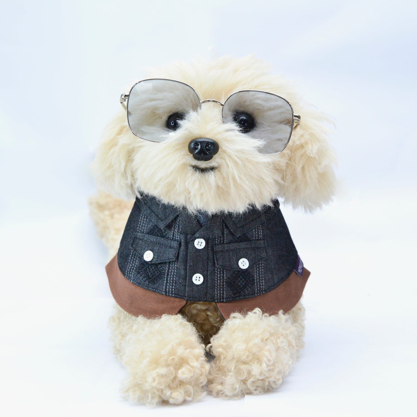 MOMOJI Cyclone (龍捲風) | Pet Neckwear