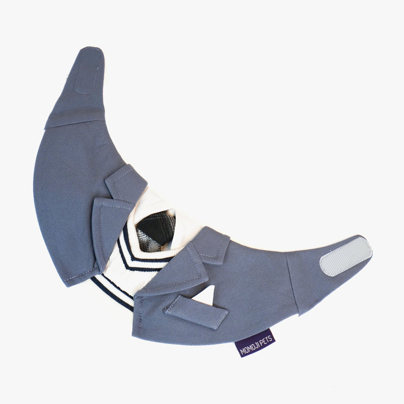 MOMOJI Joseph | Pet Neckwear