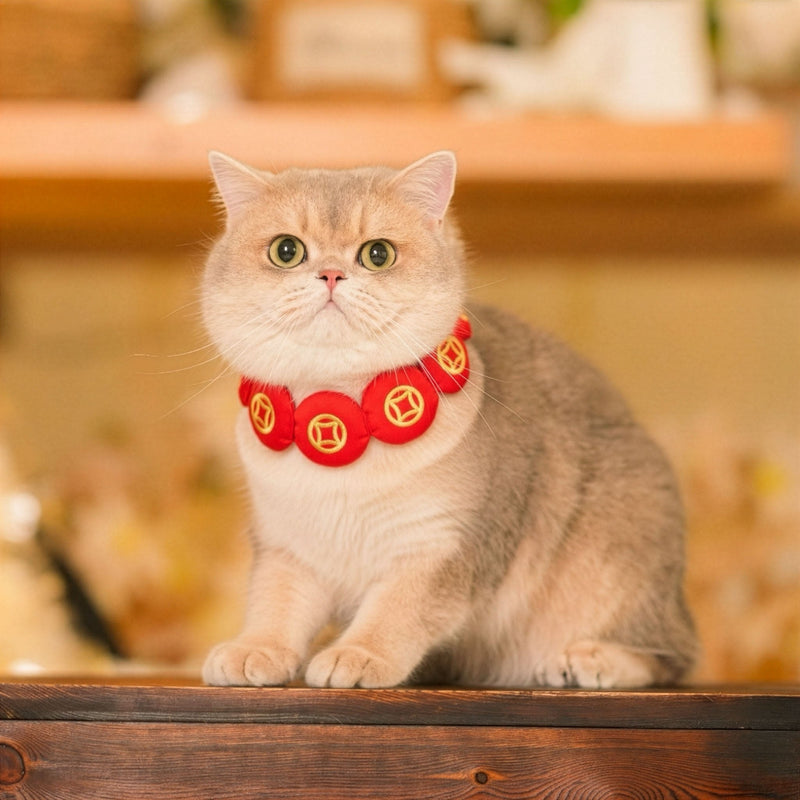 MOMOJI Prosperity Medallion 聚財圓 | Pet Neckwear