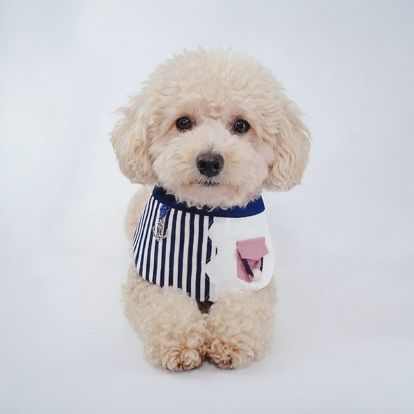 MOMOJI Marseille (1-Breton Stripe Navy) | Pet Neckwear
