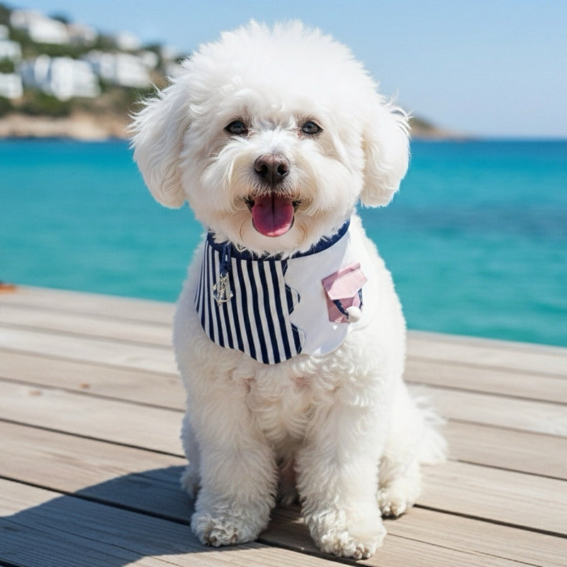 MOMOJI Marseille (1-Breton Stripe Navy) | Pet Neckwear