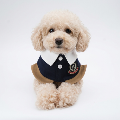 MOMOJI Brest (1-French Riviera Blue) | Pet Neckwear