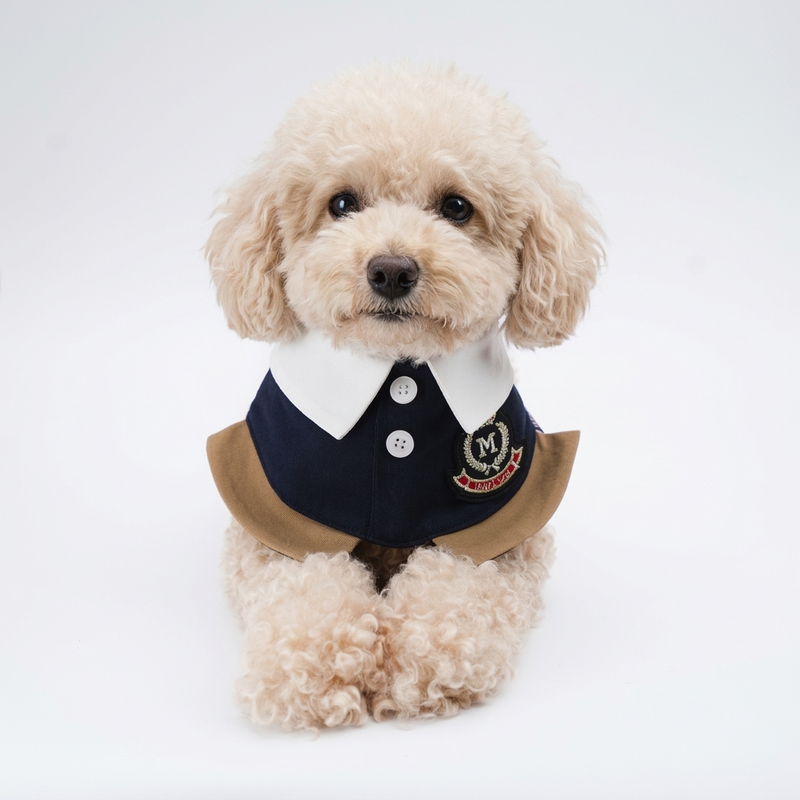 MOMOJI Brest (1-French Riviera Blue) | Pet Neckwear