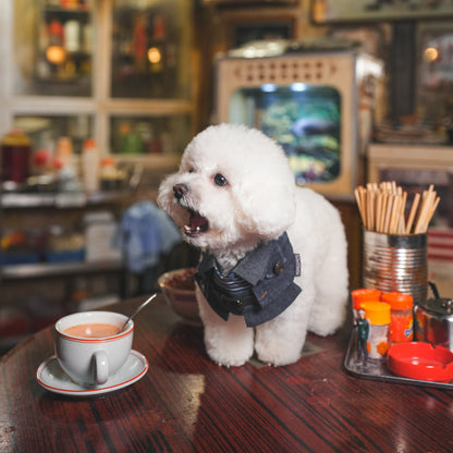 MOMOJI Lok-kwan B (洛軍) | Pet Neckwear