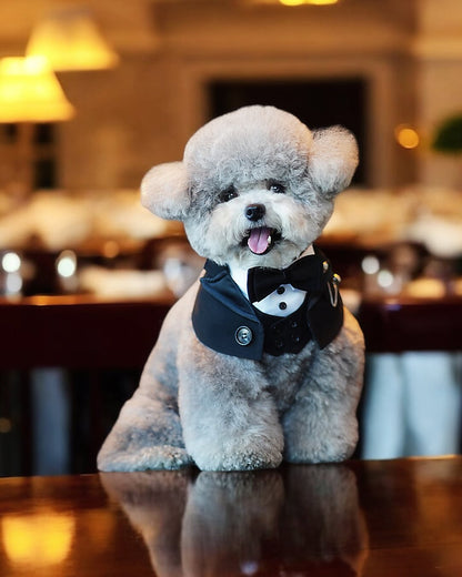 MOMOJI Kingsway | Pet Neckwear
