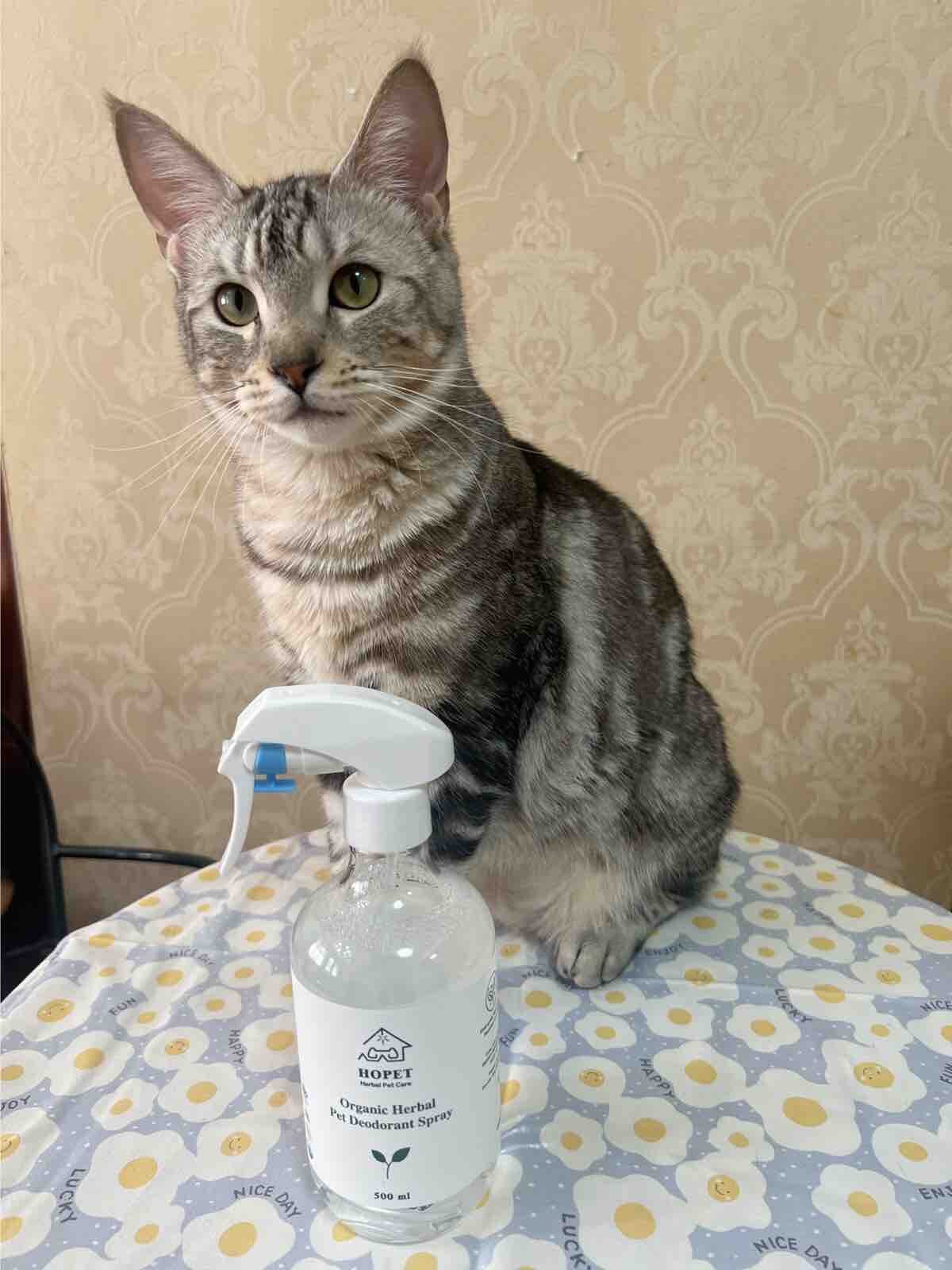 Organic Herbal Pet Deodorant Spray for Dogs & Cats 500ml