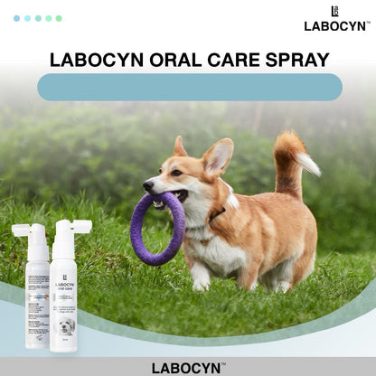 Pet Oral Care Spray 50ml