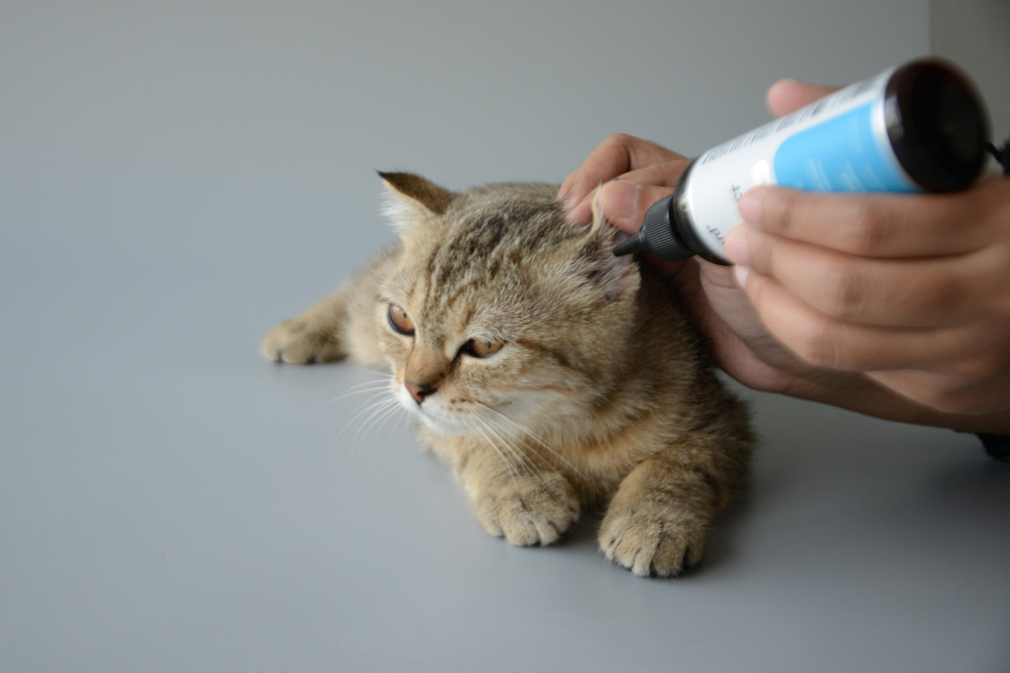 Gentle Ear Cleaner (Anti-Fungal & Anti-Inflammatory) 100ml