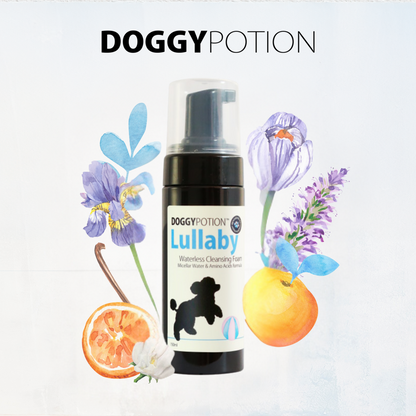 LULLABY 免沖洗潔毛泡沫 (爽身粉香) 150ml