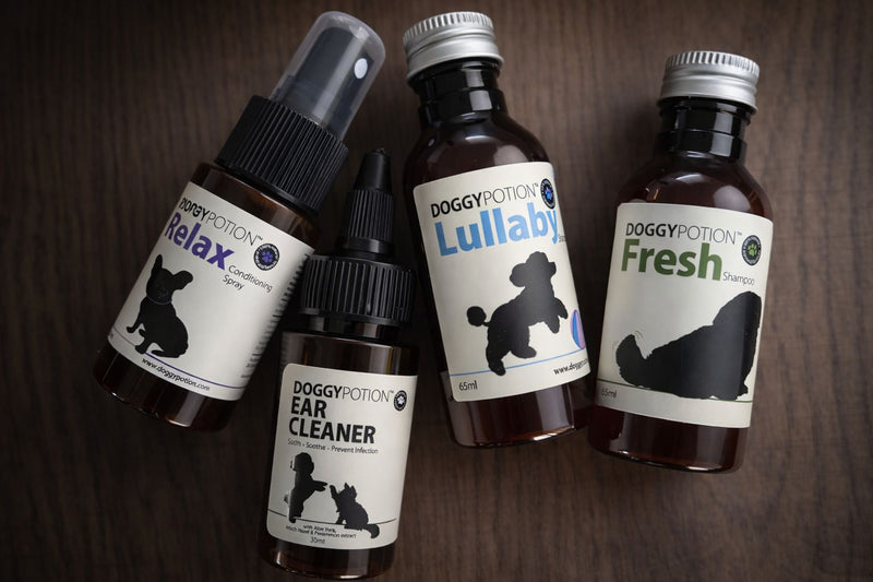 [gift] DoggyPotion surprise gift