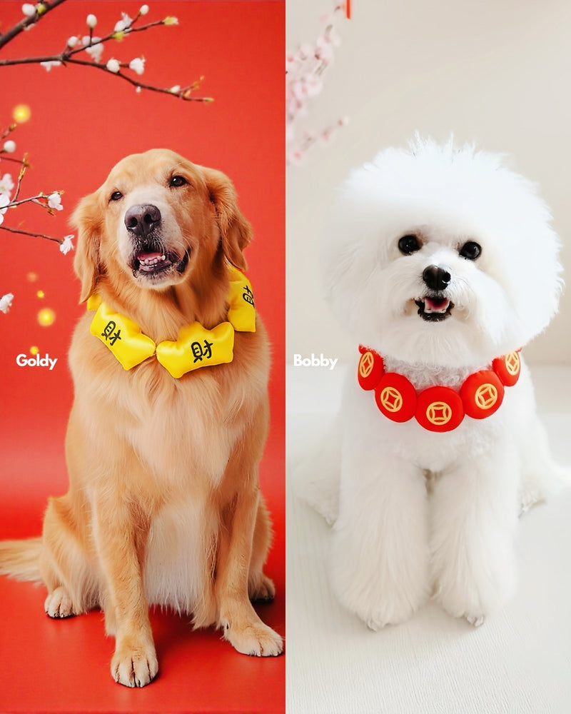 MOMOJI Prosperity Medallion 聚財圓 | Pet Neckwear