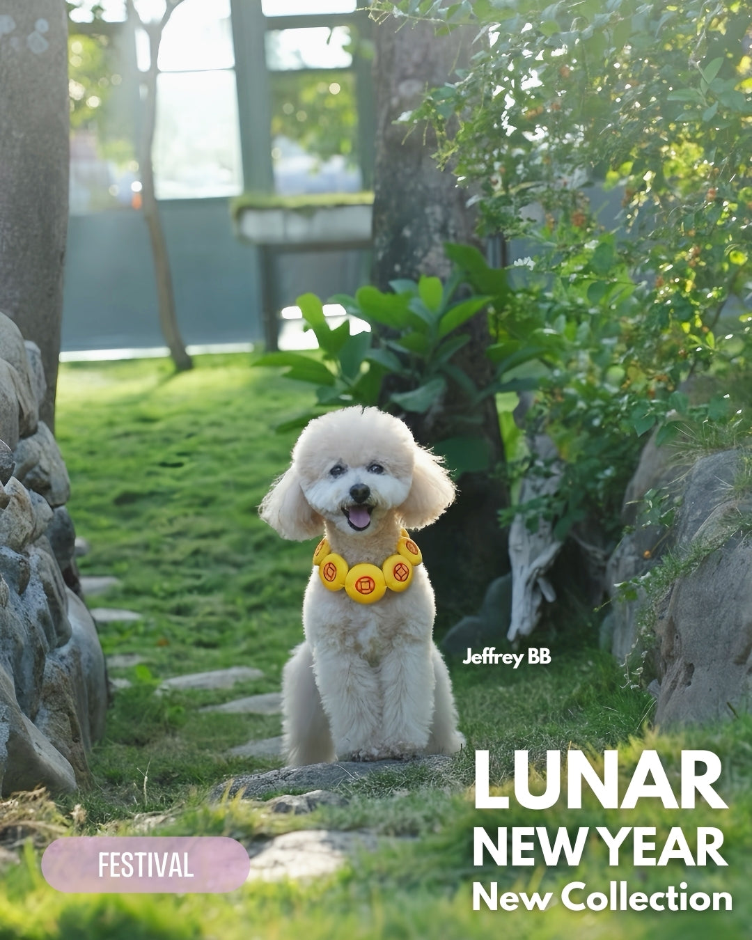 MOMOJI Prosperity Medallion 聚財圓 | Pet Neckwear