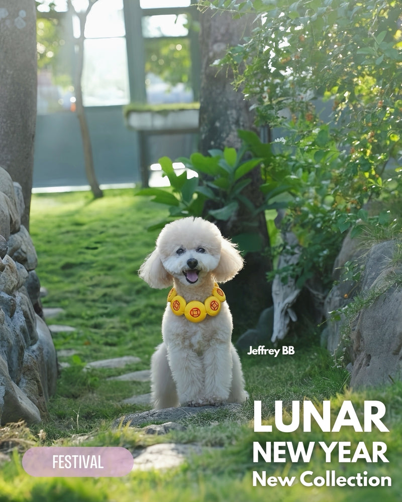 MOMOJI Prosperity Medallion 聚財圓 | Pet Neckwear