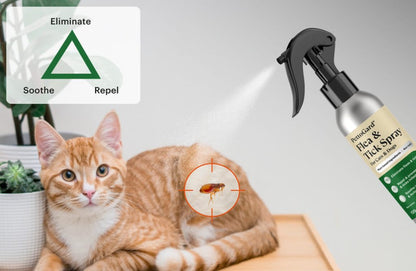 PettoGard Flea & Tick Spray (Plant-Based Ingredients) DEET-Free 120ml