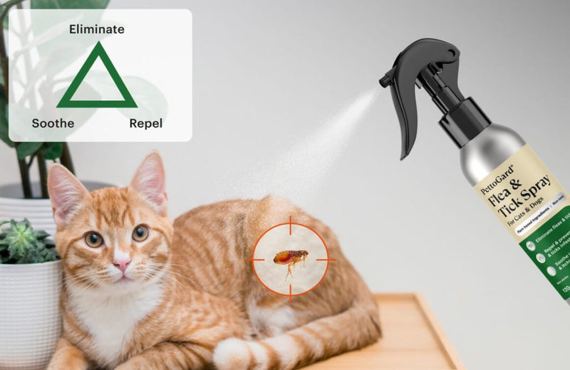 PettoGard Flea & Tick Spray (Plant-Based Ingredients) DEET-Free 120ml