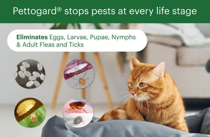 PettoGard Flea & Tick Spray (Plant-Based Ingredients) DEET-Free 120ml